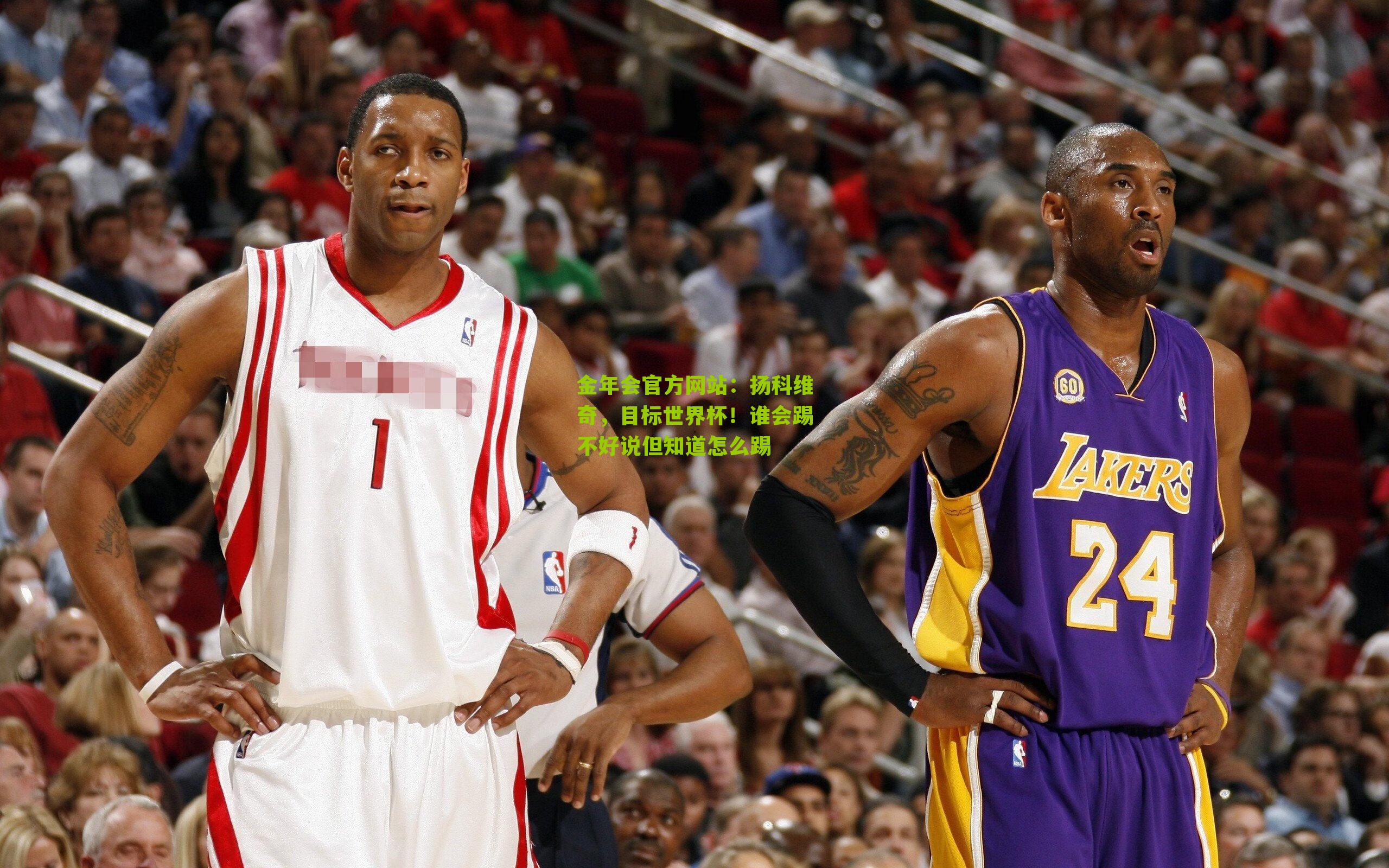 扬科维奇，目标世界杯！谁会踢不好说但知道怎么踢